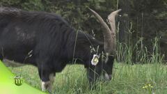 Progetto montagna