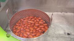 La trasformazione del pomodoro