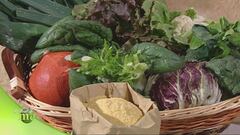 Fattoria Bio