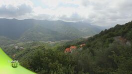 Terra di nocciole thumbnail