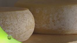 Il formaggio "U Cabannin" thumbnail