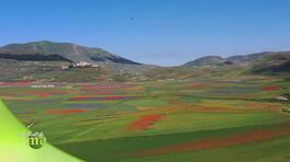 Monti Sibillini, regno di biodiversità thumbnail