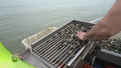 La pesca nella Sacca Scardovari