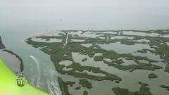 Il parco del Delta del Po