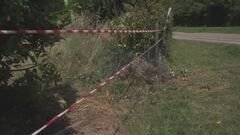 Edizione ore 18.30 dell'1 giugno