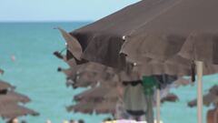 Edizione ore 18.30 del 26 luglio