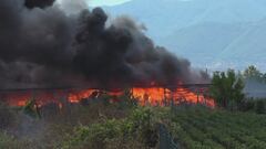 Edizione ore 18.30 del 6 agosto