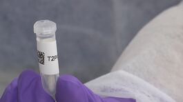 Garlasco, "Il dna è di Sempio" thumbnail