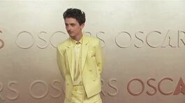 Timothée Chalamet star ai David thumbnail