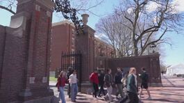 Trump, "Harvard mandi via gli stranieri" thumbnail