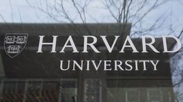 Harvard, un "tetto" agli stranieri thumbnail