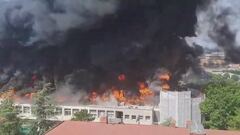 Viterbo, maxi rogo all'università