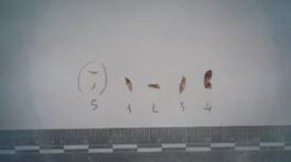 Garlasco, le 5 combinazioni del dna thumbnail