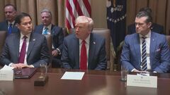 Trump all'attacco sui visti