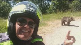 Romania, italiano sbranato dall'orso thumbnail