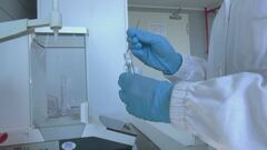 Confronto con il dna di Sempio