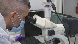 Mancano dati per ricostruire il dna thumbnail