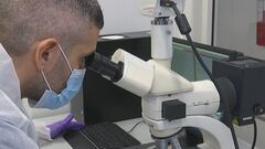 Mancano dati per ricostruire il dna