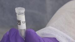 Chiara, c'è un nuovo dna maschile