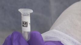 Caso Garlasco, "Chiara, c'è il dna di un ignoto" thumbnail