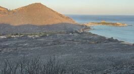 Incendi, inferno a Villasimius thumbnail