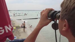 Mare e montagna, tutti in vacanza thumbnail