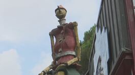 A rischio il parco di Pinocchio thumbnail