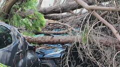 Disastro maltempo in Romagna