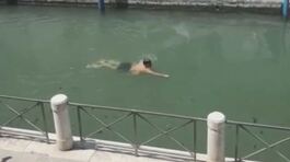 Daspo urbano per turisti cafoni thumbnail
