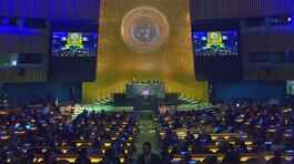 Il nodo Palestina all'Onu thumbnail