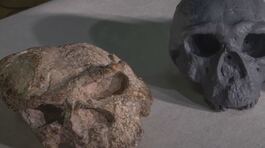 L'homo sapiens più antico del mondo thumbnail