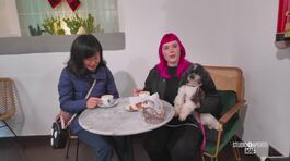 Golosità per i nostri amici a quattro zampe thumbnail