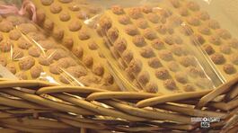 Il Nocciolino di Chivasso thumbnail