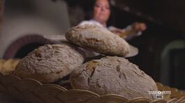 Fare il pane in casa thumbnail