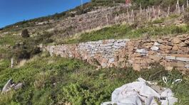 L'antica arte dei muretti a secco nel Parco delle Cinque Terre thumbnail