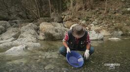 In cerca dell'oro thumbnail