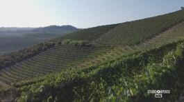 L'Alta Langa Docg thumbnail