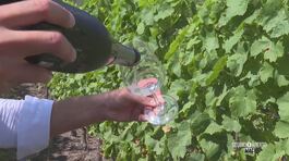 Alla scoperta di un angolo di Val d'Aosta thumbnail