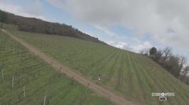 Corsa nel Chianti thumbnail