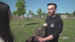 Le fattorie didattiche thumbnail