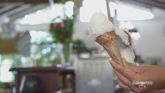 L'agrigelato