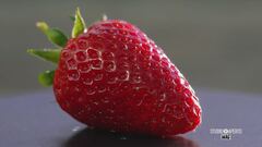 Una succosa varietà di fragole