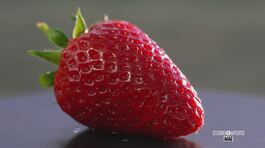 Una succosa varietà di fragole thumbnail
