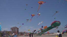 Il Festival internazionale dell'aquilone thumbnail