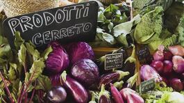In Toscana alla scoperta della cucina vegetariana thumbnail