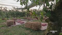 Un aperitivo davvero particolare