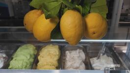 I gelato con i limoni delle Cinque Terre thumbnail