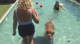 Vacanze con gli amici a quattro zampe thumbnail