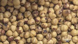 La capitale della nocciola piemontese: Cortemilia thumbnail