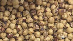 La capitale della nocciola piemontese: Cortemilia